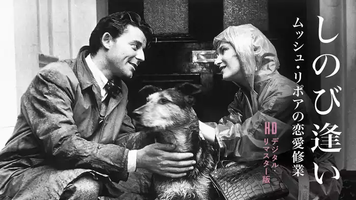 しのび逢い　ムッシュ・リポアの恋愛修行　HDデジタル・リマスター版
