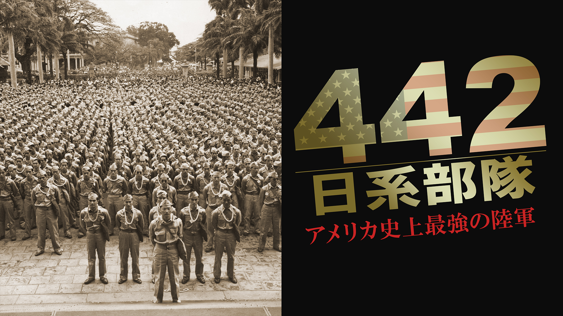 442 日系部隊 アメリカ史上最強の陸軍 - サムネイル