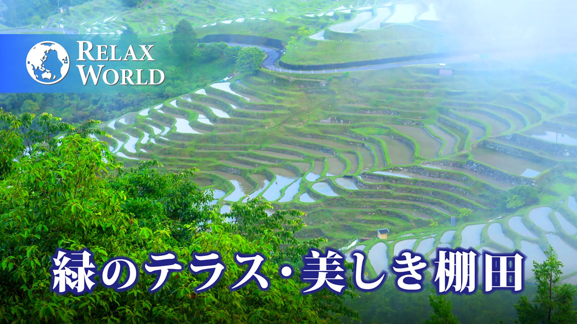 緑のテラス・美しき棚田【RELAX WORLD】