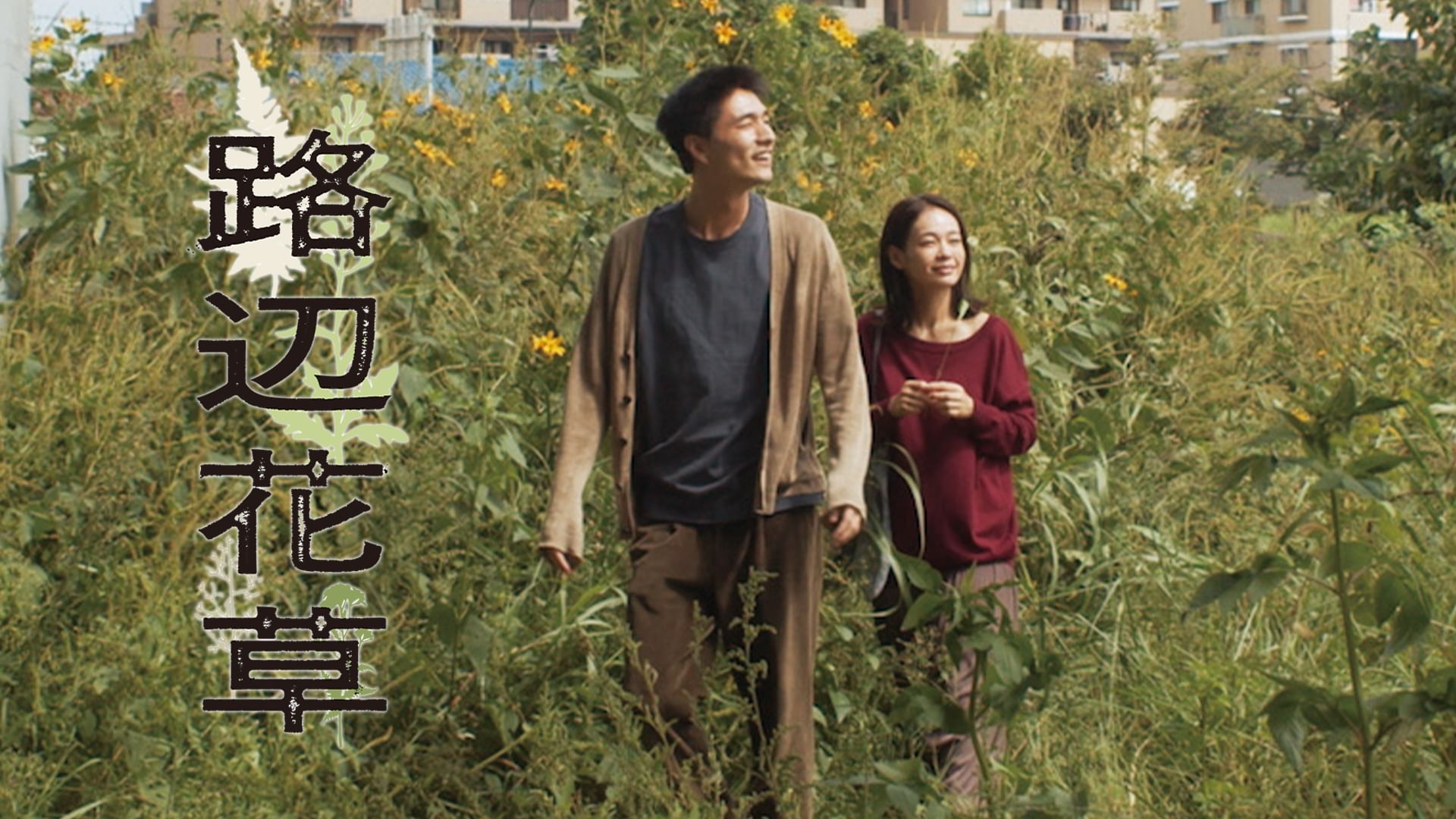 路辺花草