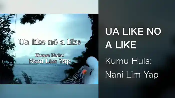 UA LIKE NO A LIKE