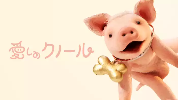 愛しのクノール