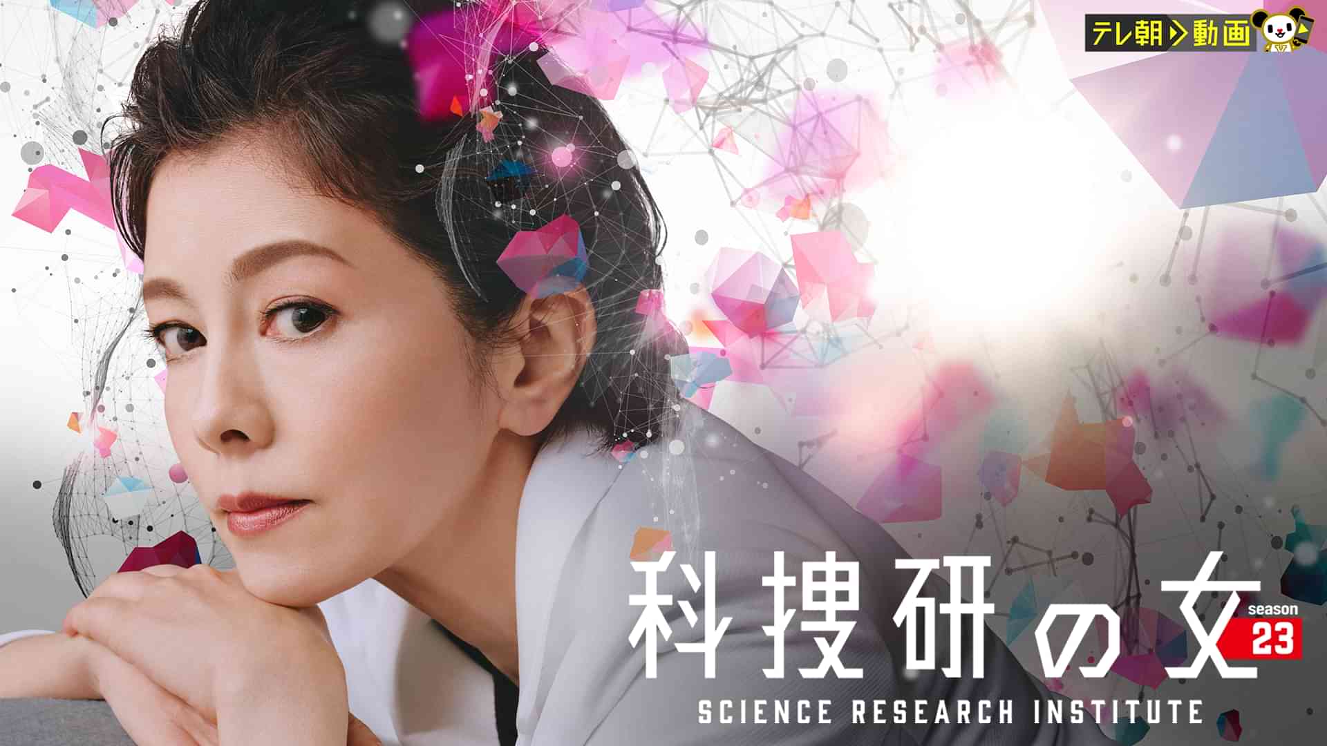 科捜研の女 season23