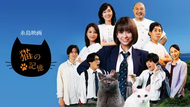 糸島映画 猫の記憶