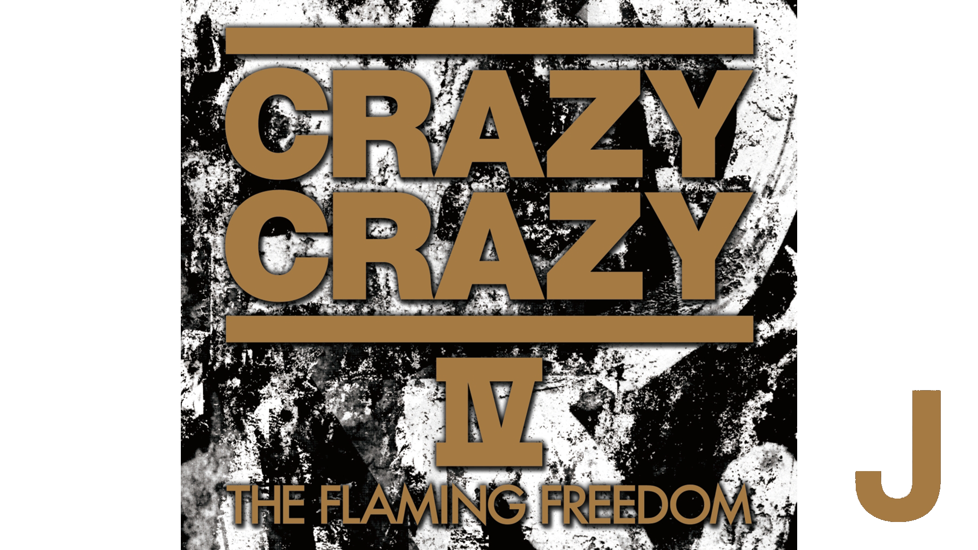 CRAZY CRAZY V -The eternal flames-(音楽・ライブ / 2016) - 動画配信 | U-NEXT  31日間無料トライアル