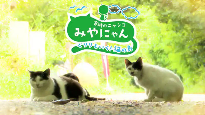 みやにゃん～ぐりりといく！猫の島