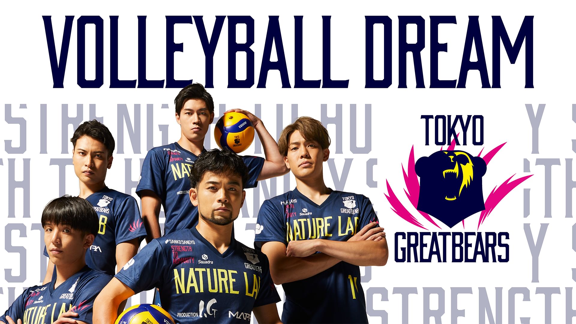 VOLLEYBALL DREAM