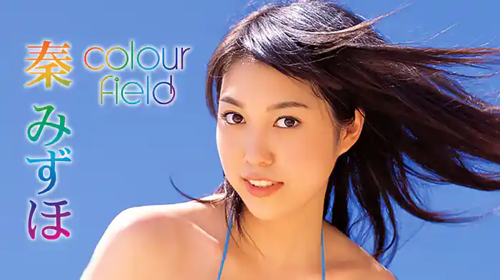 秦みずほ『colour field』