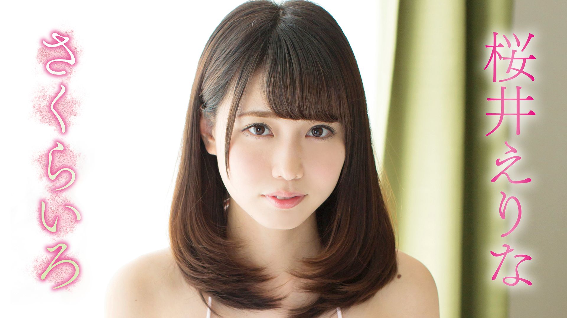 ゆりかご プリちゃん 屋外露出 静岡県立美術館年報