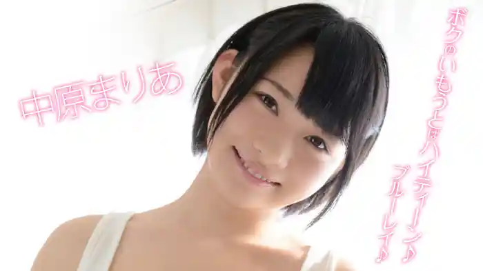 中原まりあ『ボクのいもうとはハイティーン♪ブルーレイ♪』