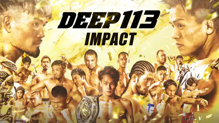 DEEP 113 IMPACT