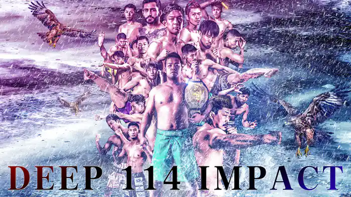 DEEP 114 IMPACT