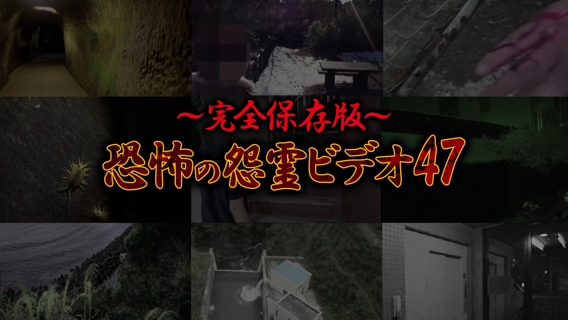 〜完全保存版〜恐怖の怨霊ビデオ47