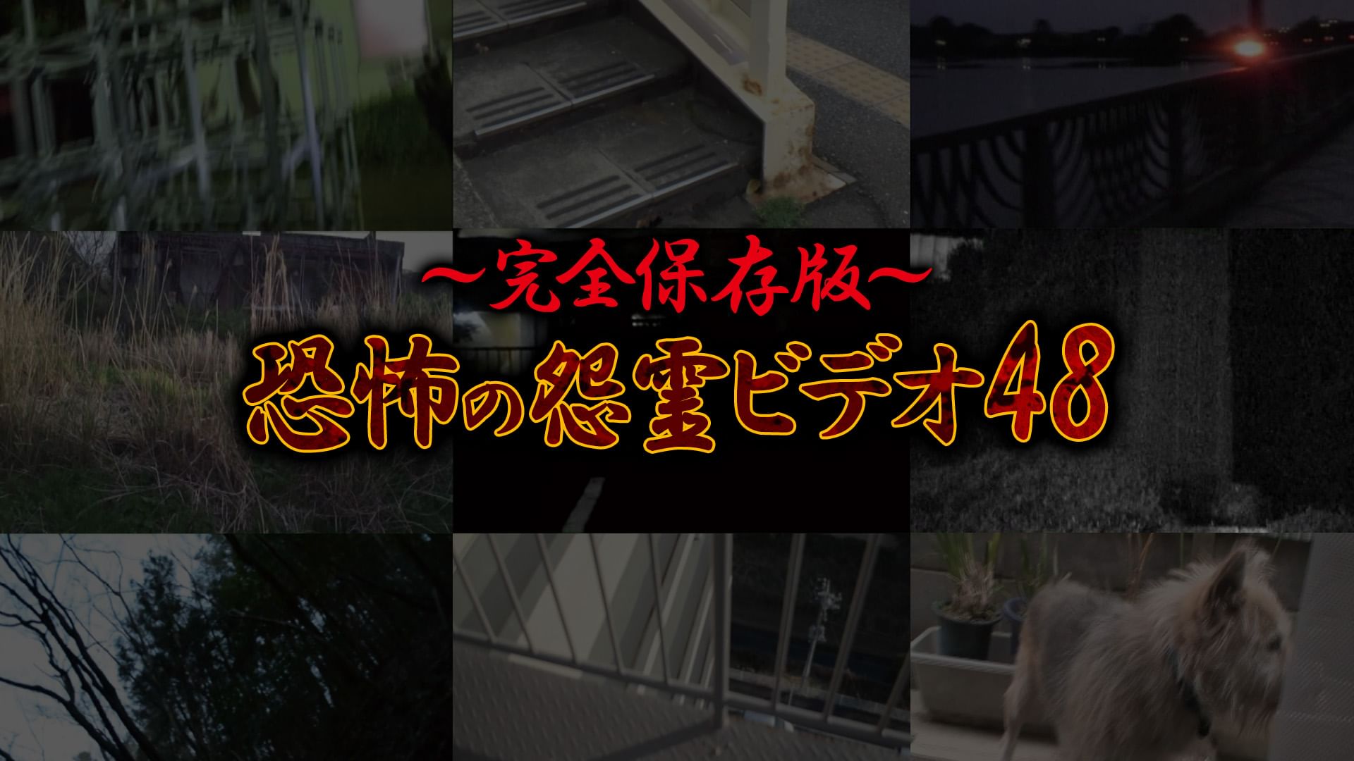 〜完全保存版〜恐怖の怨霊ビデオ48