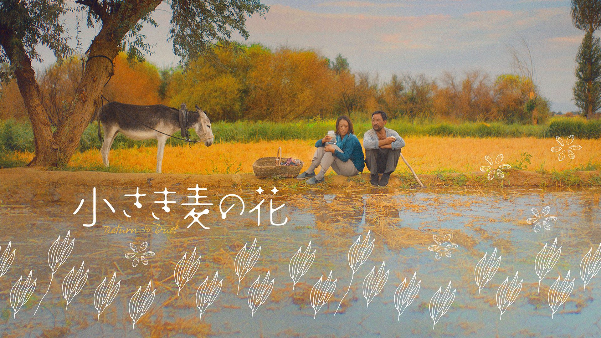 小さき麦の花