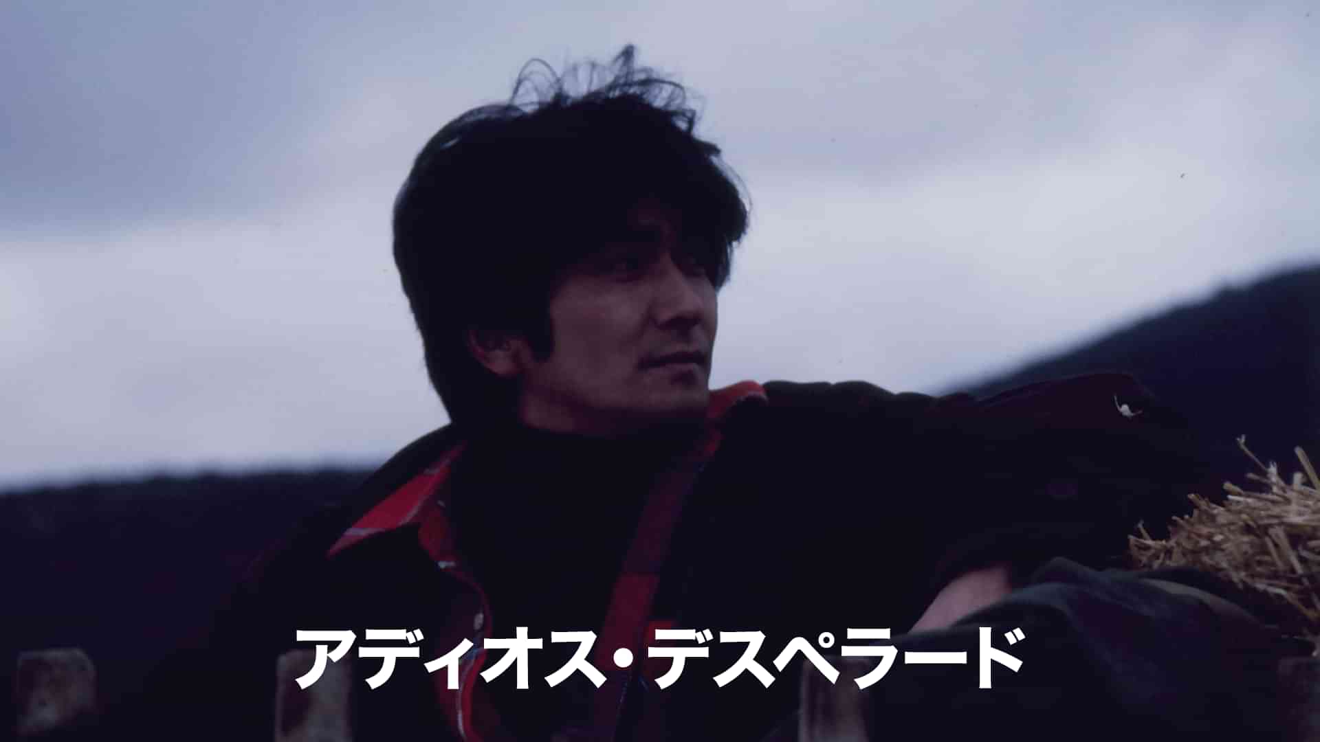 アディオス・デスペラード