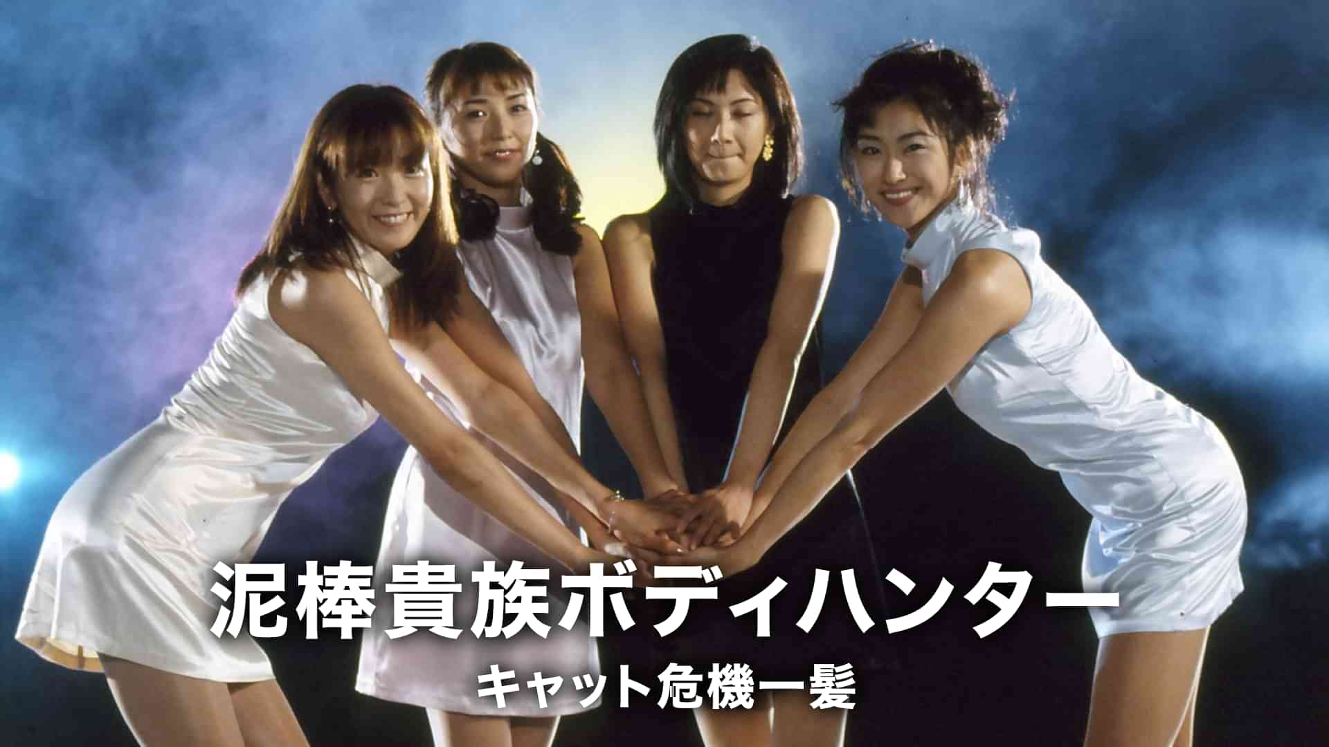 泥棒貴族ボディハンター キャット危機一髪