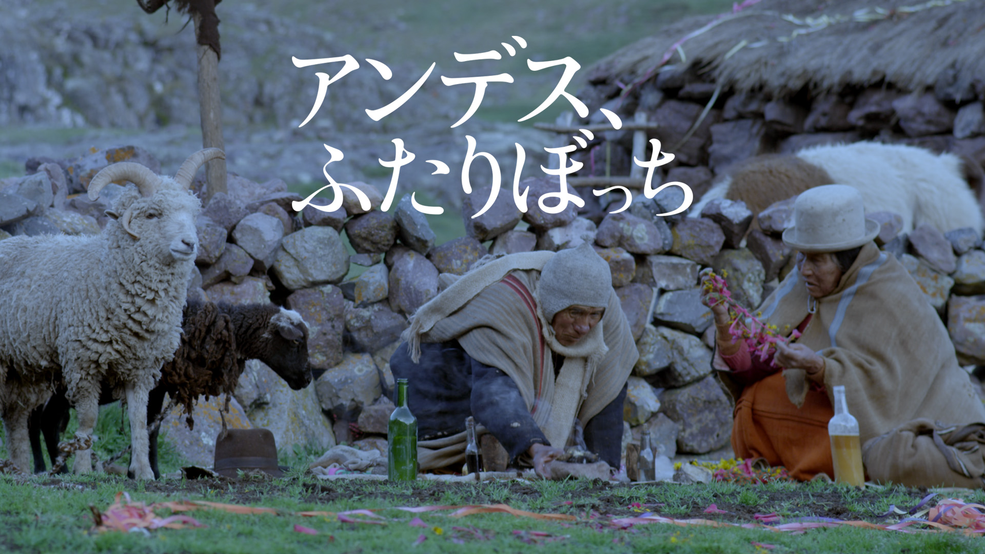 アンデス、ふたりぼっち - サムネイル