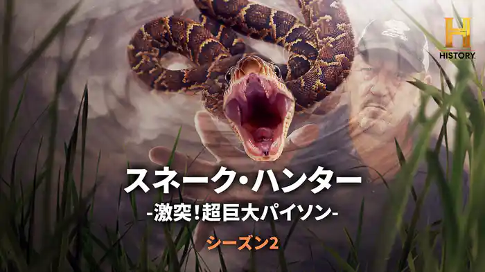 スネーク・ハンター -激突！超巨大パイソン- シーズン2