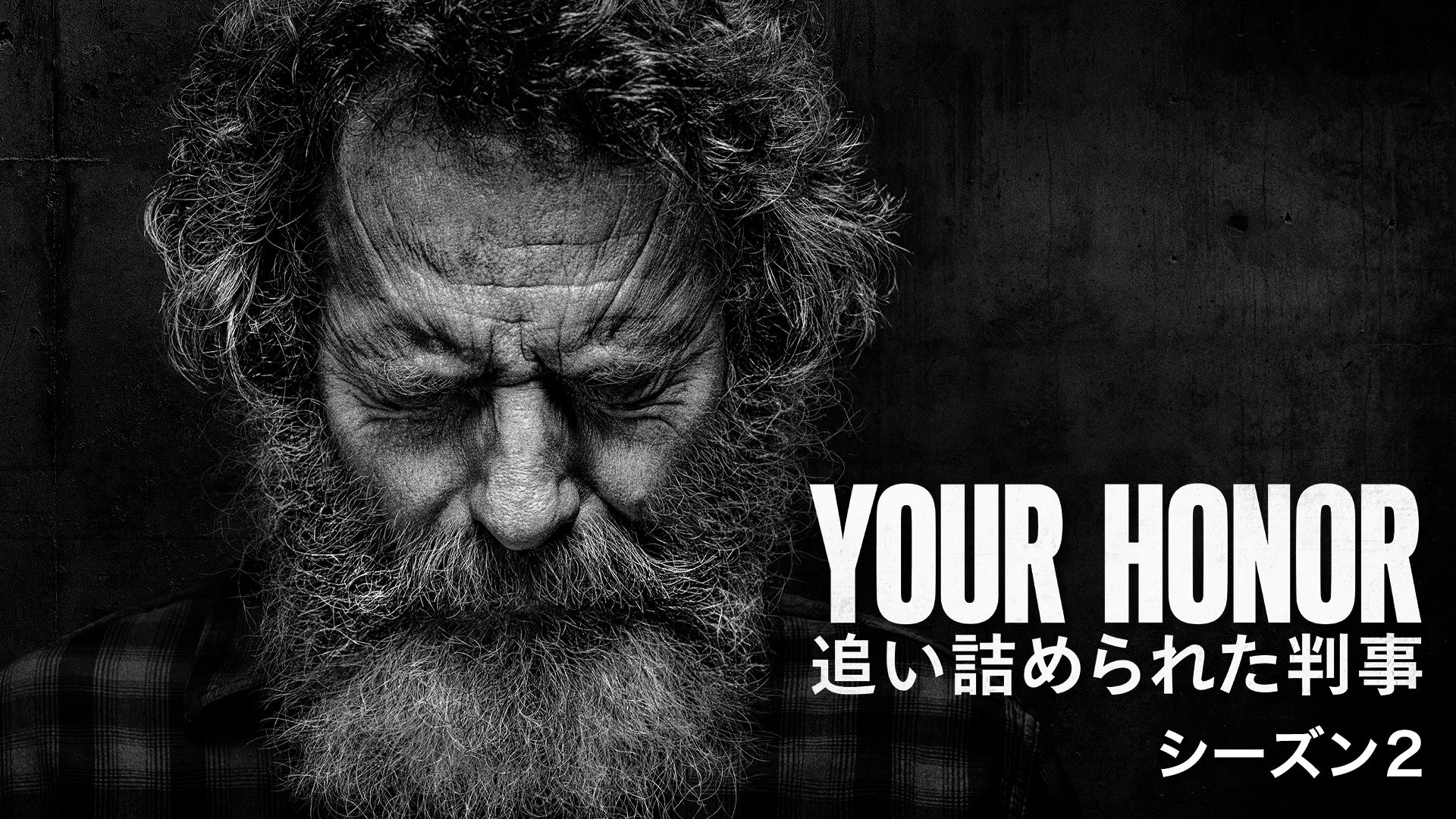 Your Honor/追い詰められた判事 シーズン2