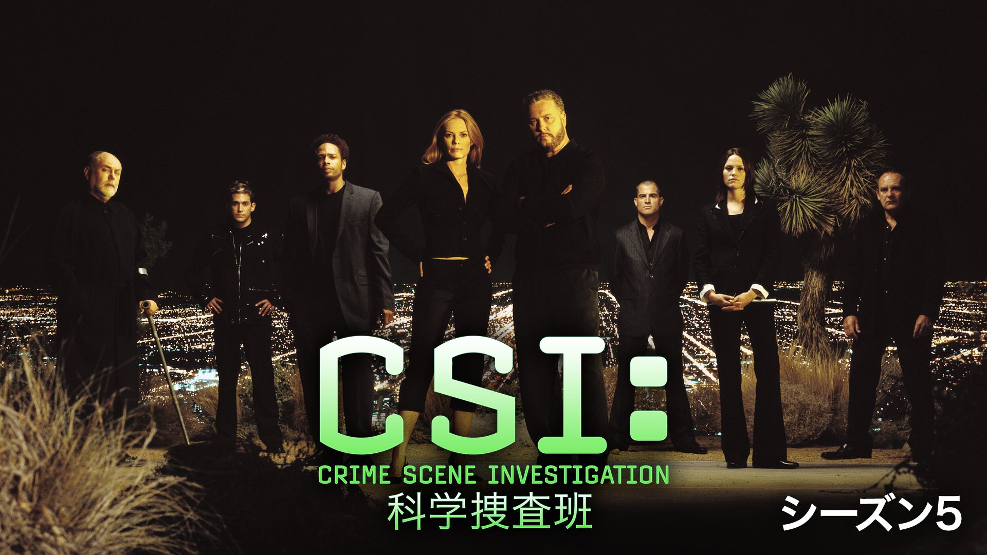 CSI:科学捜査班 シーズン 5