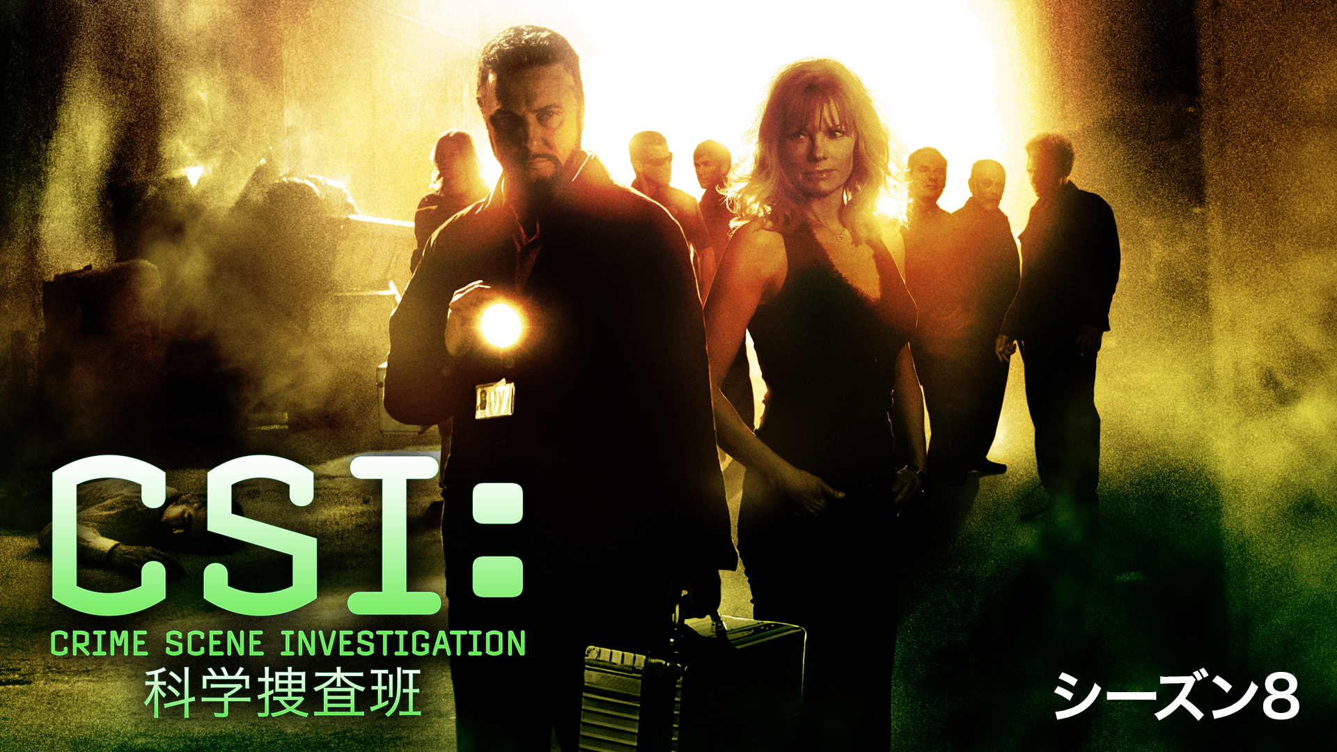 CSI：科学捜査班 シーズン8(海外ドラマ / 2007) - 動画配信 | U-NEXT