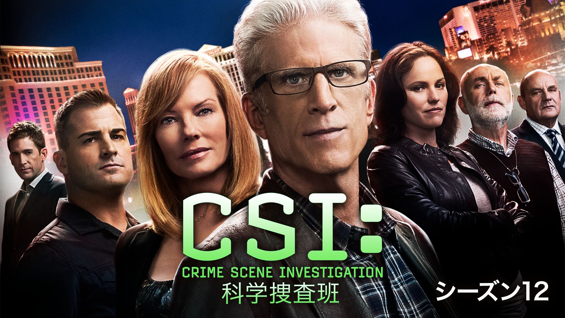 CSI:科学捜査班 シーズン 12 