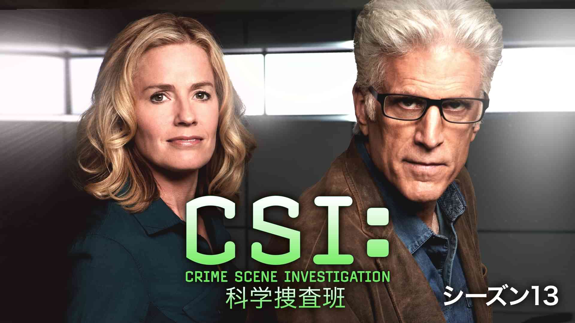 CSI:科学捜査班 シーズン13