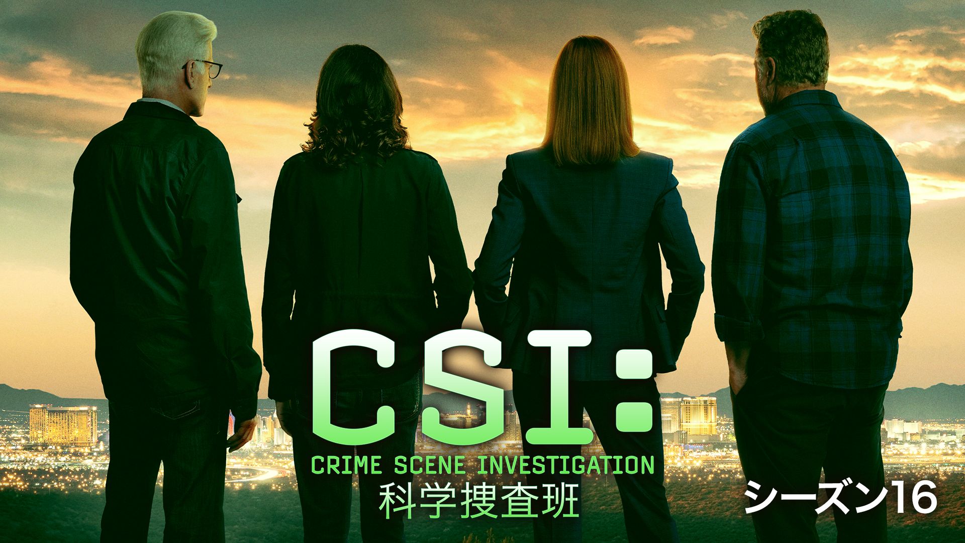 CSI:科学捜査班 シーズン16