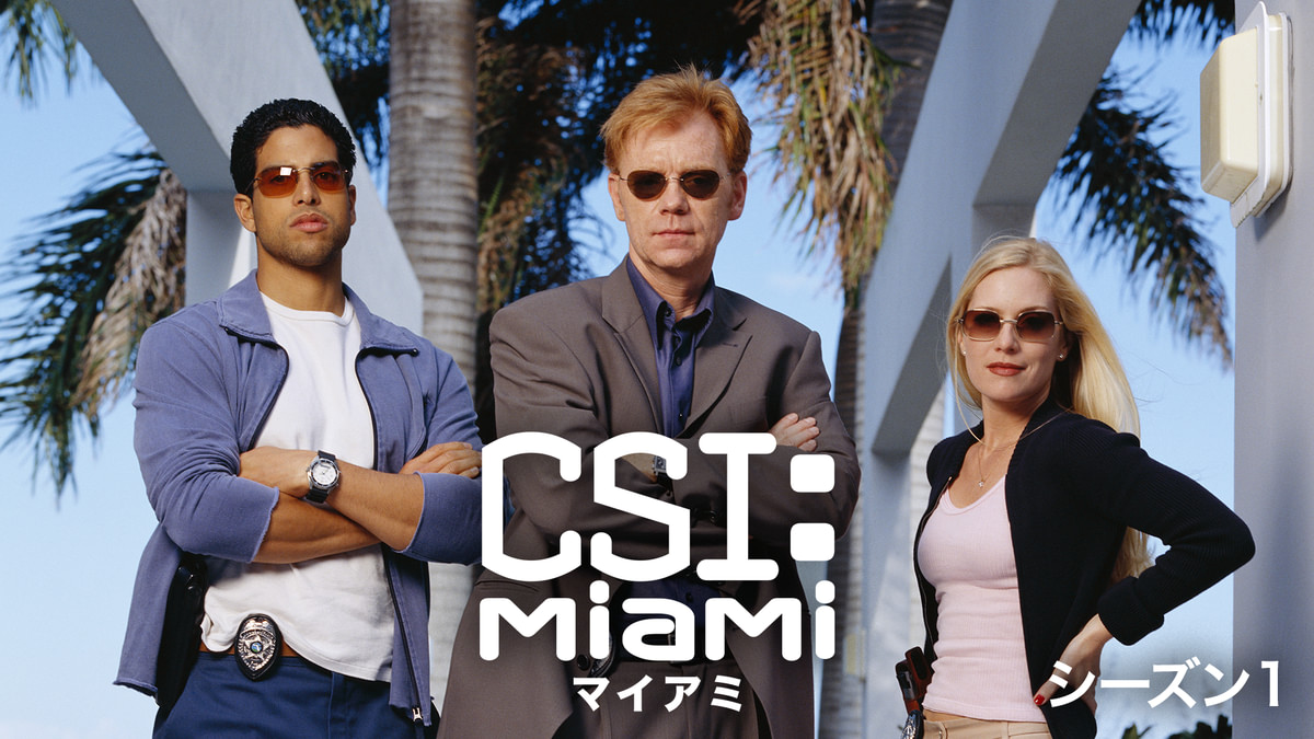 CSI：マイアミ シーズン1(海外ドラマ / 2002) - 動画配信 | U-NEXT 31