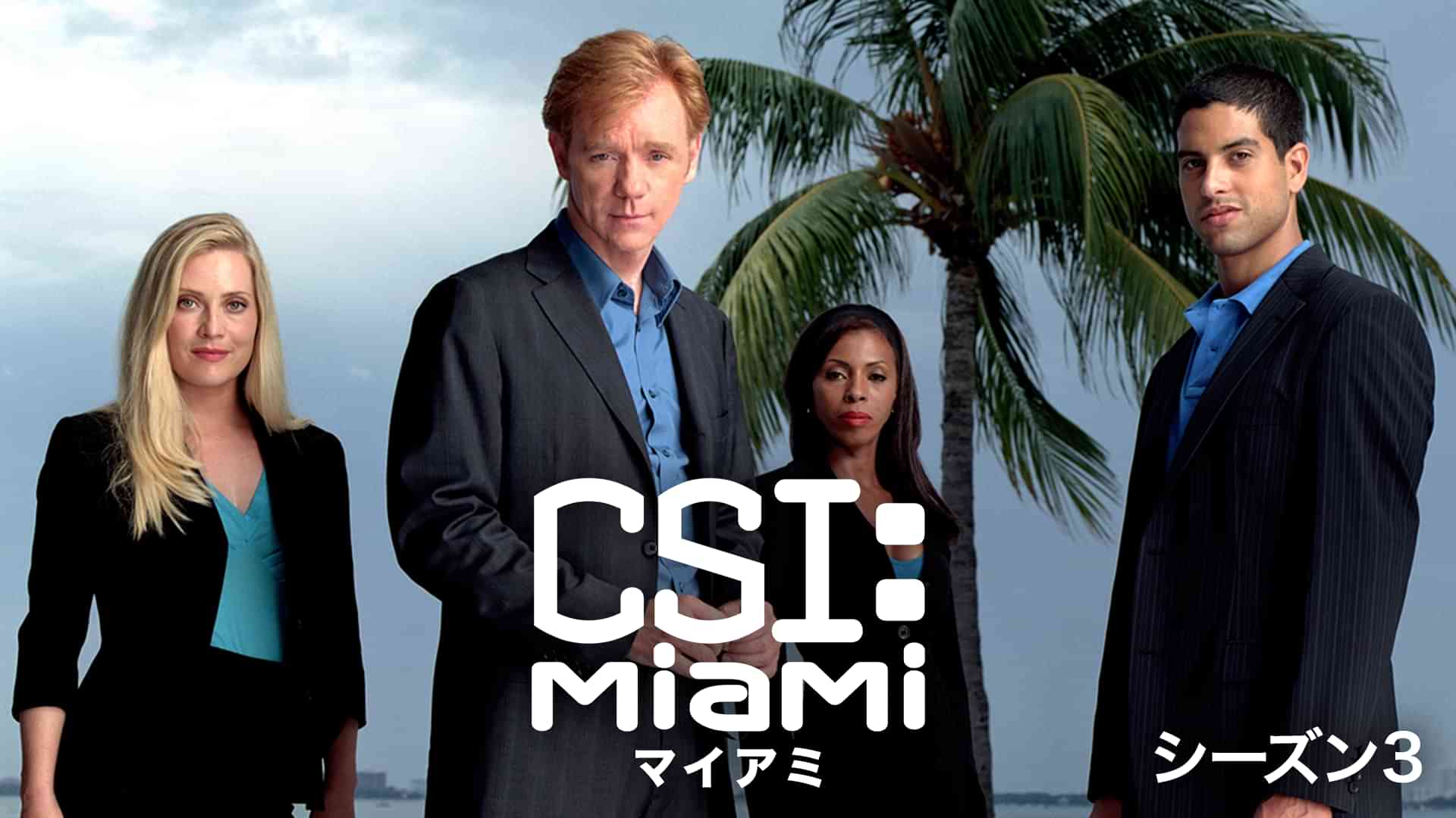 CSI：マイアミ シーズン3