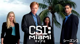 CSI：マイアミ シーズン3