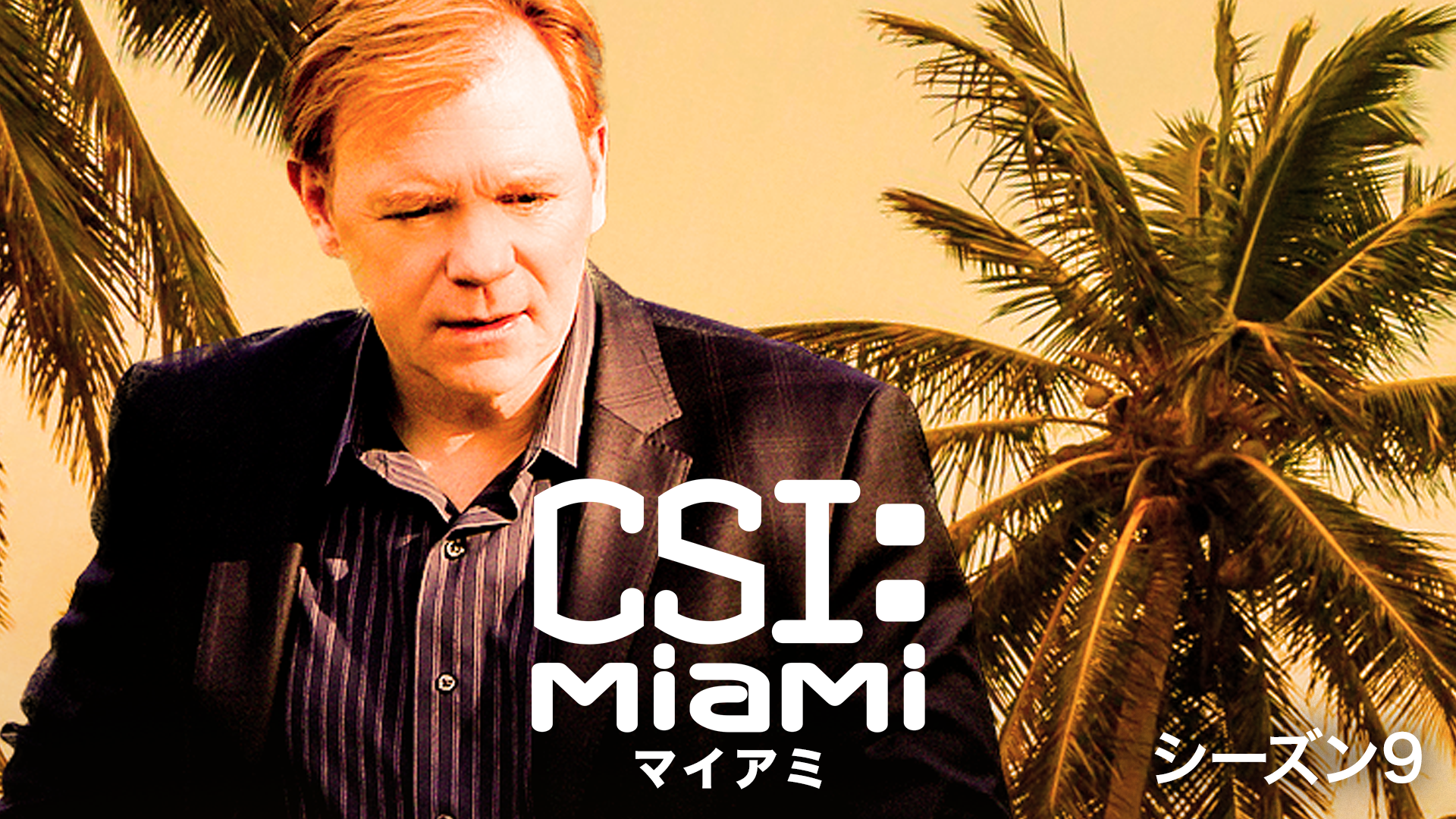 CSI：マイアミ シーズン9(海外ドラマ / 2010) - 動画配信 | U-NEXT 31日間無料トライアル