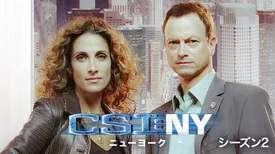 CSI：ニューヨーク シーズン2