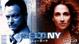 CSI：ニューヨーク シーズン3