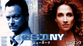CSI：ニューヨーク シーズン3