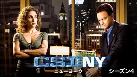 CSI：ニューヨーク シーズン4