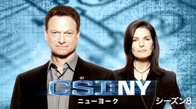 CSI：ニューヨーク シーズン8