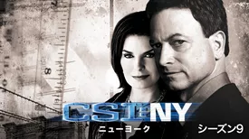 CSI：ニューヨーク シーズン9