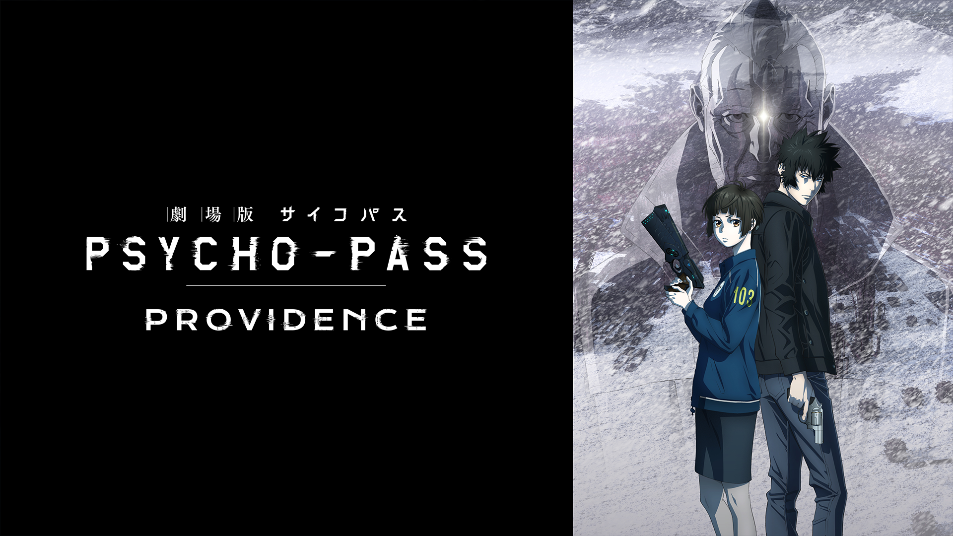 Psycho-Pass(サイコパス）現在31冊+劇場版