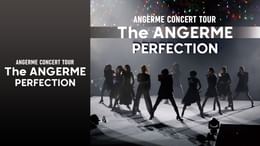 アンジュルム CONCERT TOUR -The ANGERME- PERFECTION(音楽・ライブ