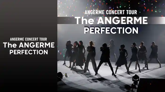 アンジュルム CONCERT TOUR -The ANGERME- PERFECTION