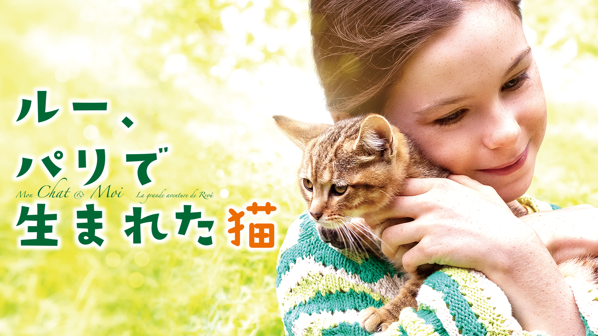 ルー、パリで生まれた猫 - サムネイル