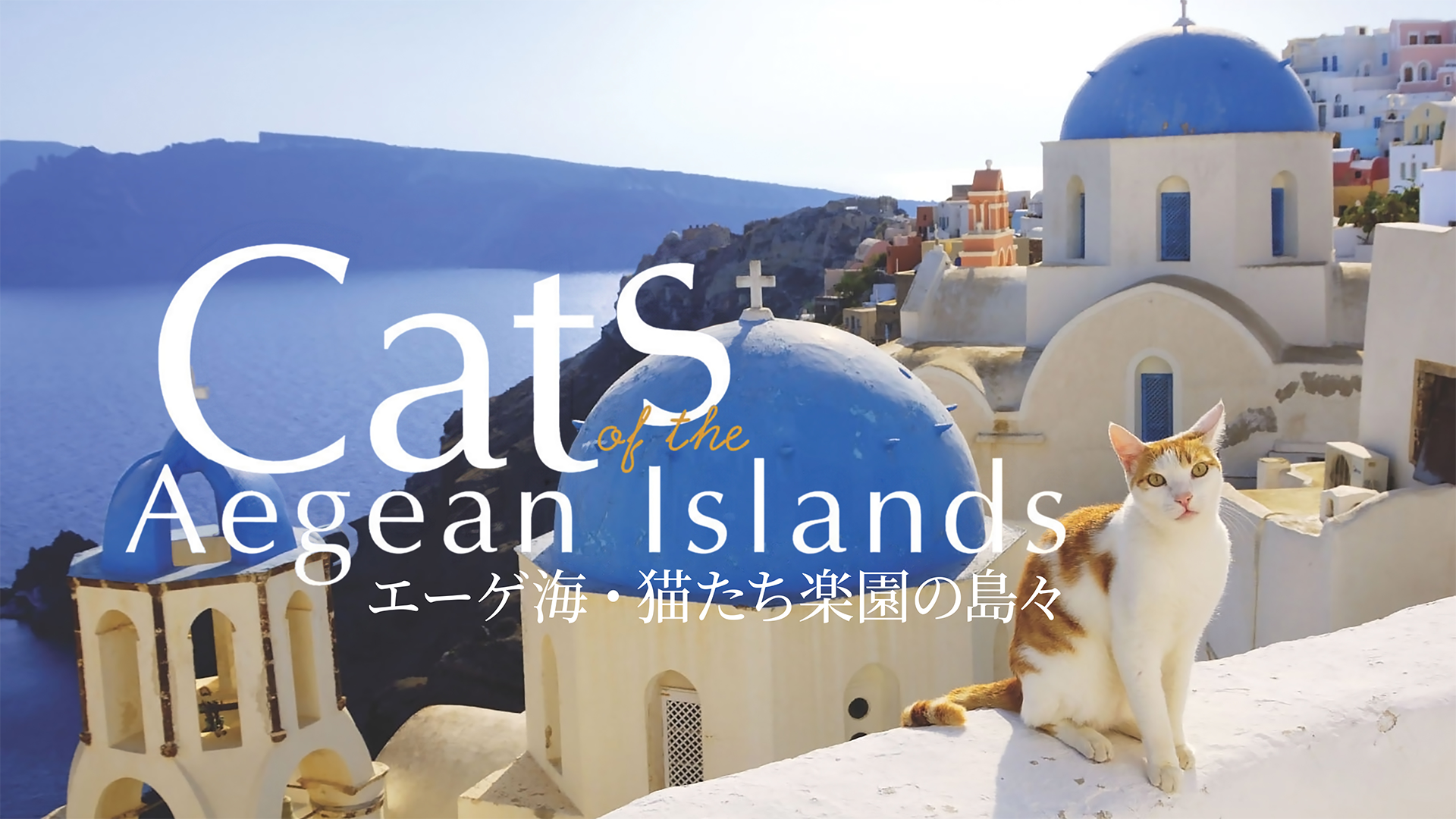 エーゲ海・猫たち楽園の島々 - サムネイル