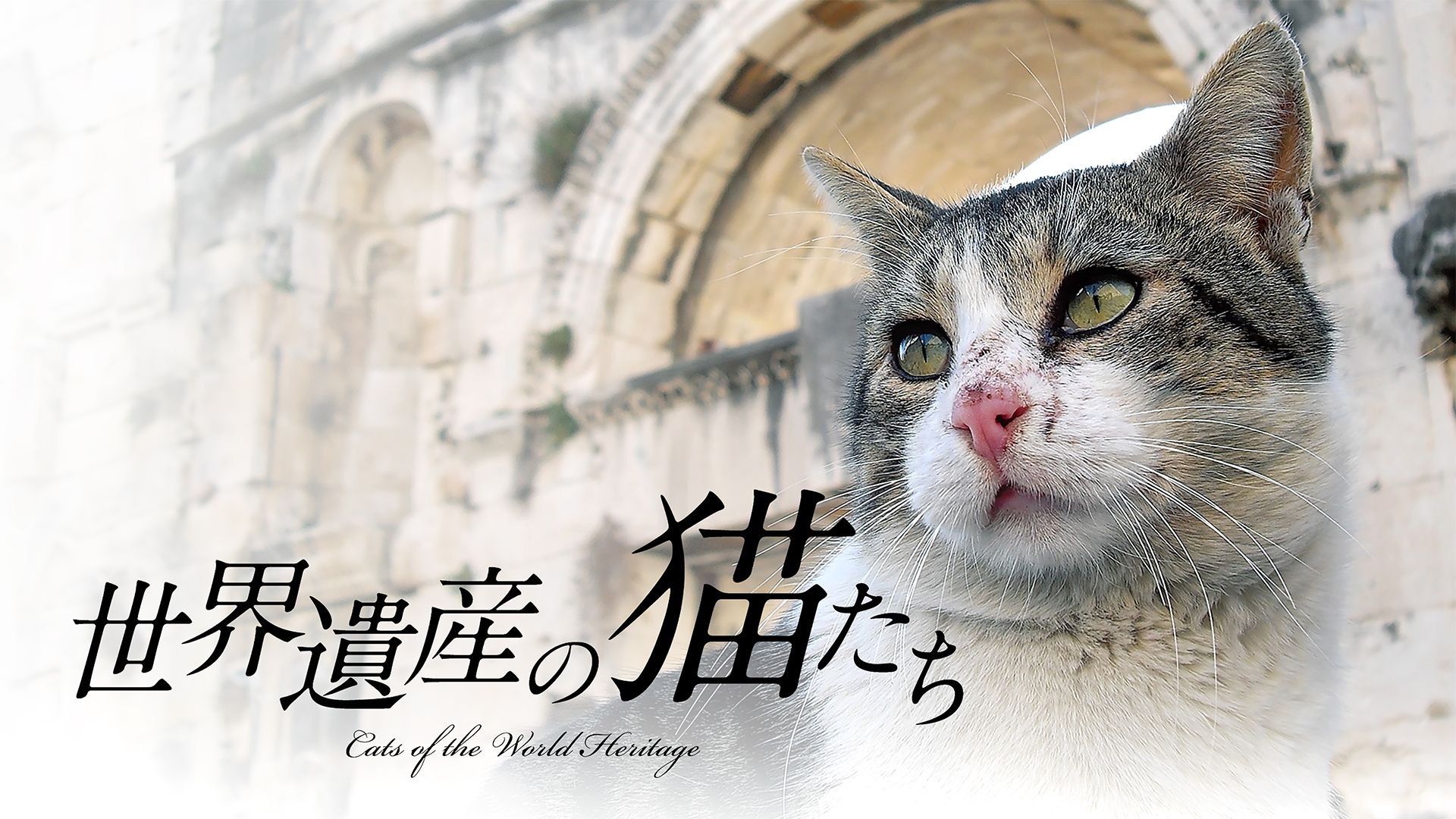 世界遺産の猫たち Cats of the World Heritage