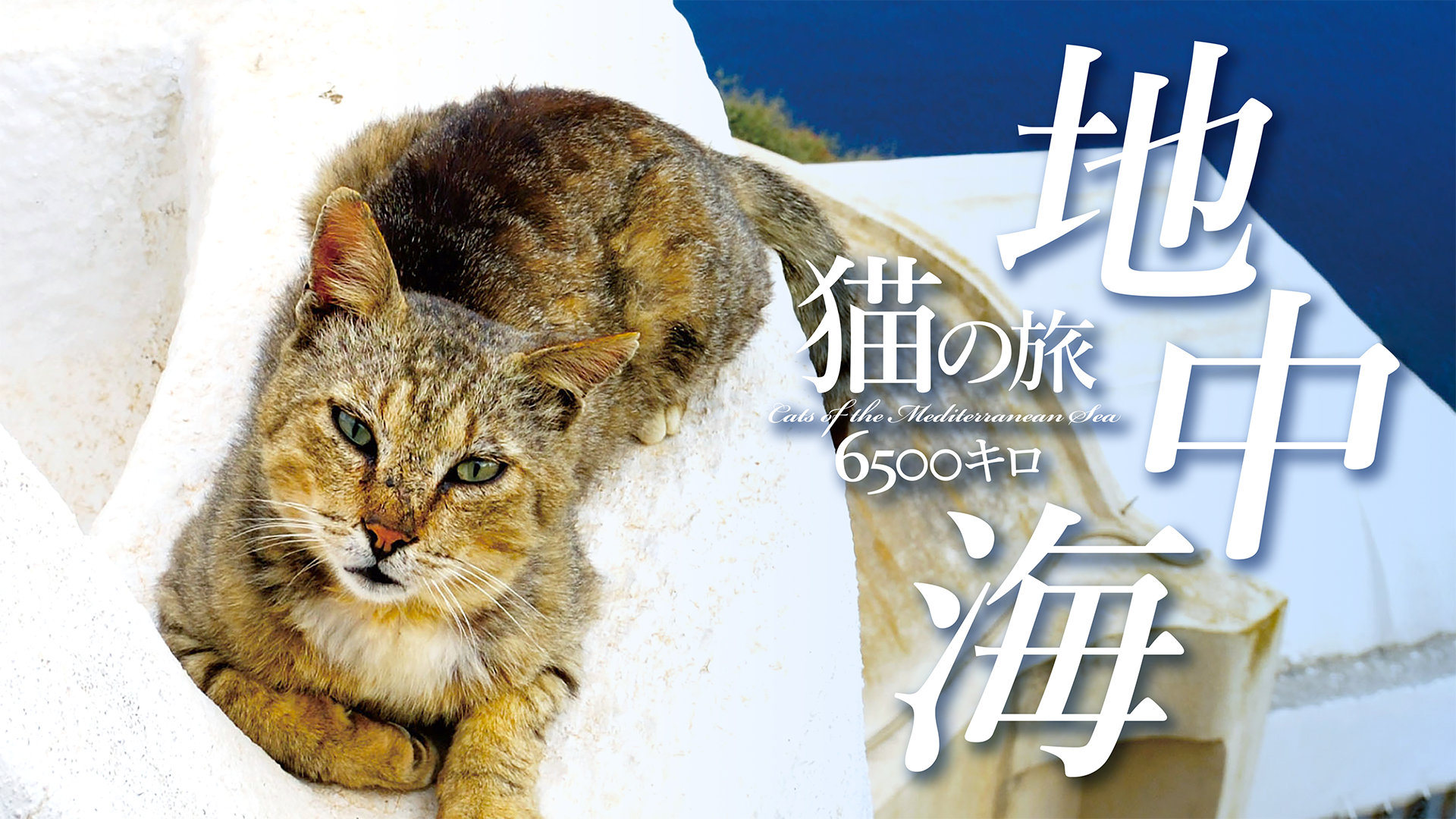 地中海・猫の旅6500キロ - サムネイル