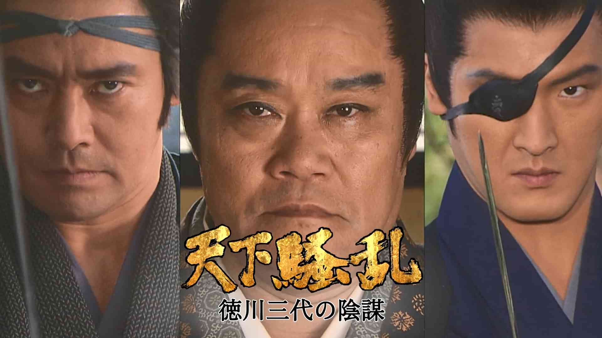 天下騒乱　徳川三代の陰謀