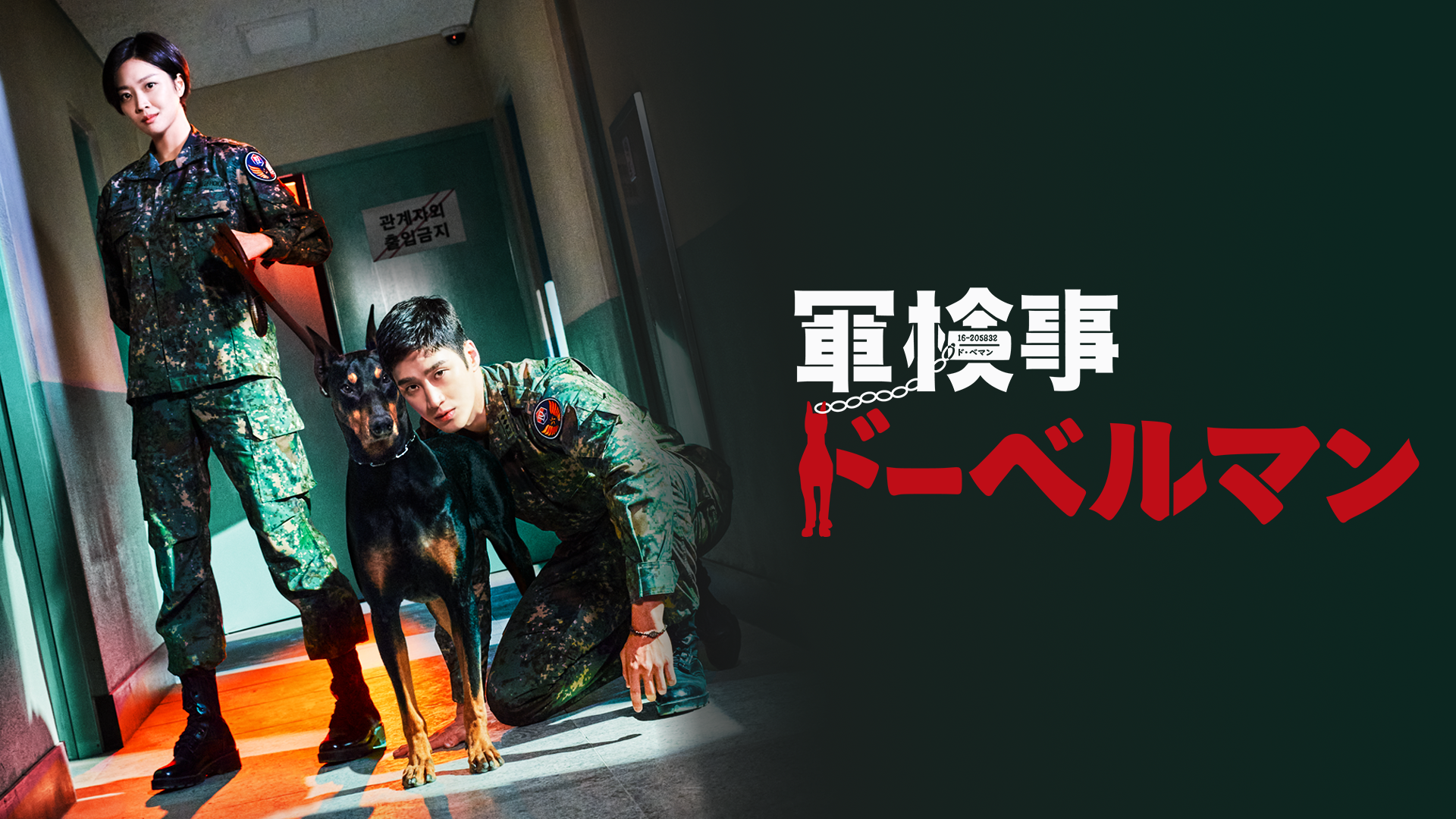 軍検事ドーベルマン(韓流・アジア / 2022) - 動画配信 | U-NEXT 31日間 