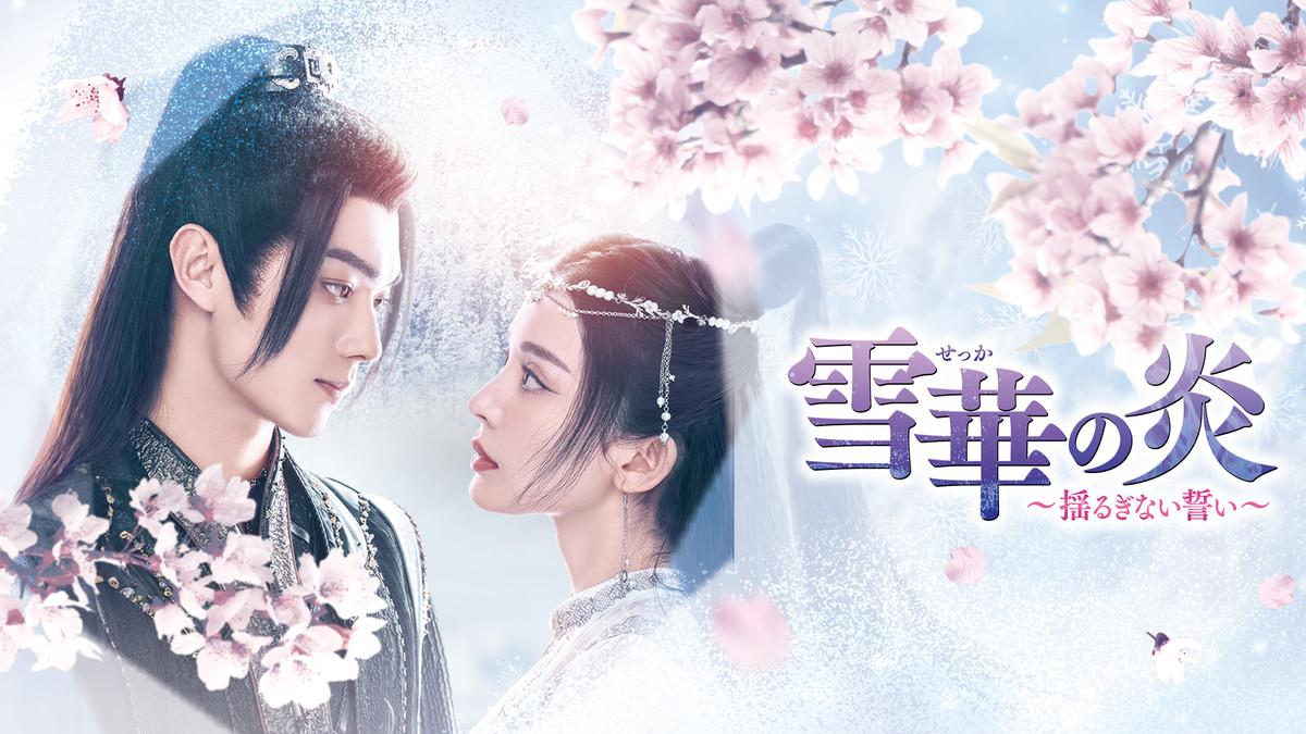 雪華の炎~揺るぎない誓い~ DVD-SET1〜3