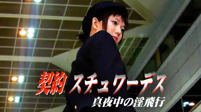 契約スチュワーデス　真夜中の淫飛行